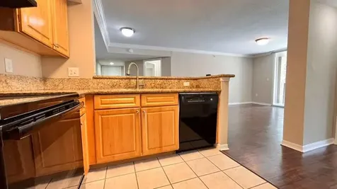 15155 Michelangelo Boulevard Delray Beach FL 33446