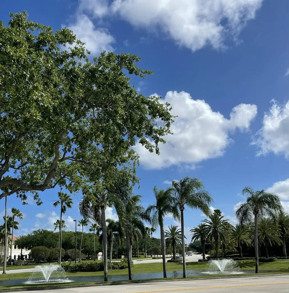 00 N Virginia Avenue Palm Beach Gardens FL 33418