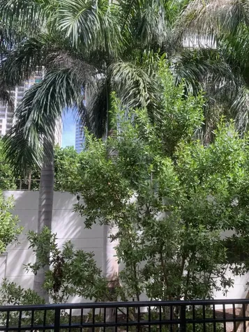 1527 S Flagler Drive S West Palm Beach FL 33401