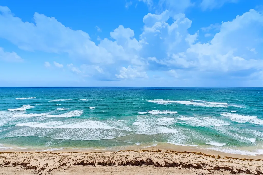 1167 Hillsboro Mile Hillsboro Beach FL 33062