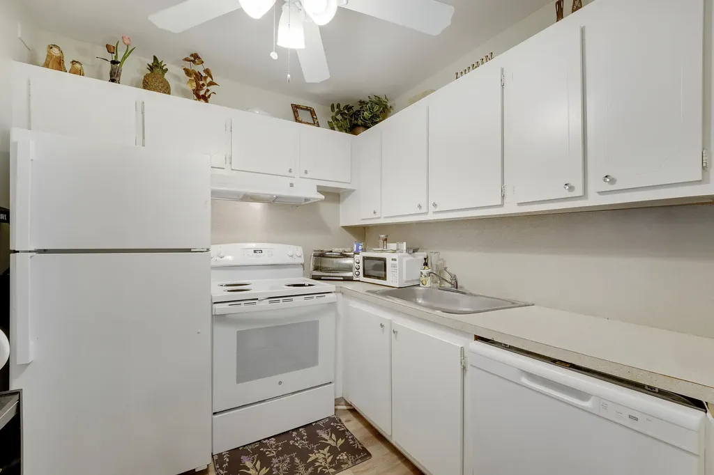1011, 290, 16, 146 Exeter, Dorset, Mansfield, Mansfield Boca Raton FL 33434