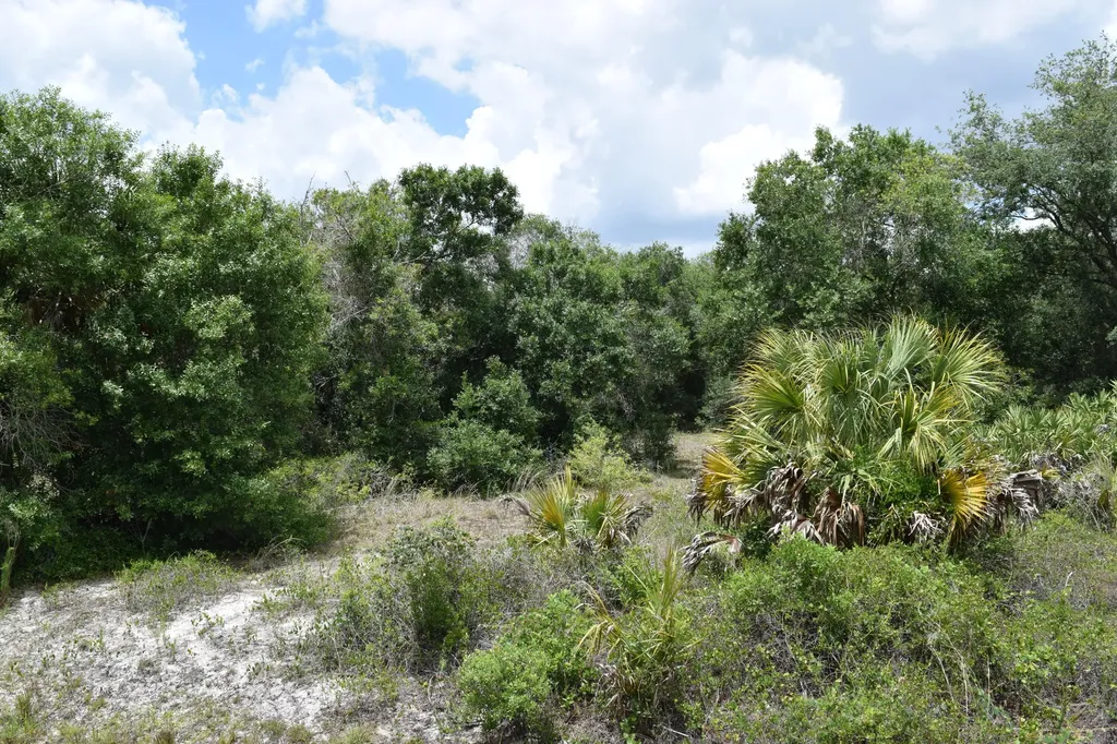 17119 NW 276th Street Okeechobee FL 34972