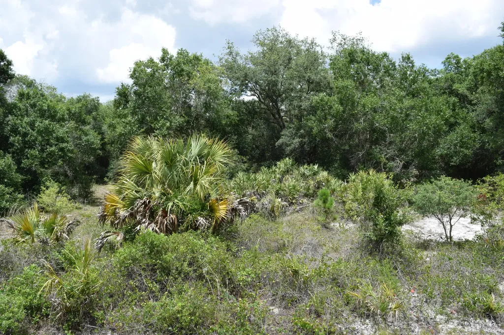 17119 NW 276th Street Okeechobee FL 34972