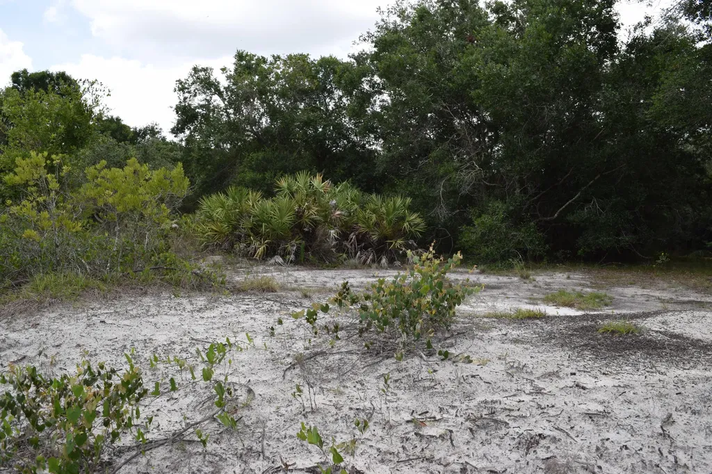 17119 NW 276th Street Okeechobee FL 34972
