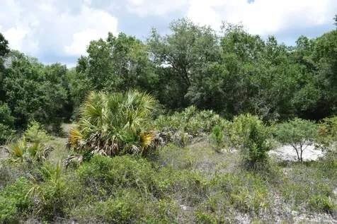 17119 NW 276th Street Okeechobee FL 34972