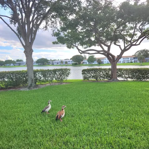 219 Coventry West Palm Beach FL 33417