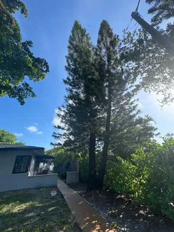 1927 Funston Street Hollywood FL 33020