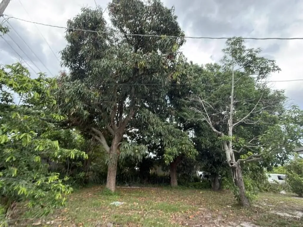 1185 Alto Road Lake Worth FL 33462