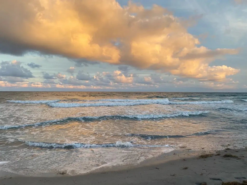 1288 SW 7th Street Boca Raton FL 33486