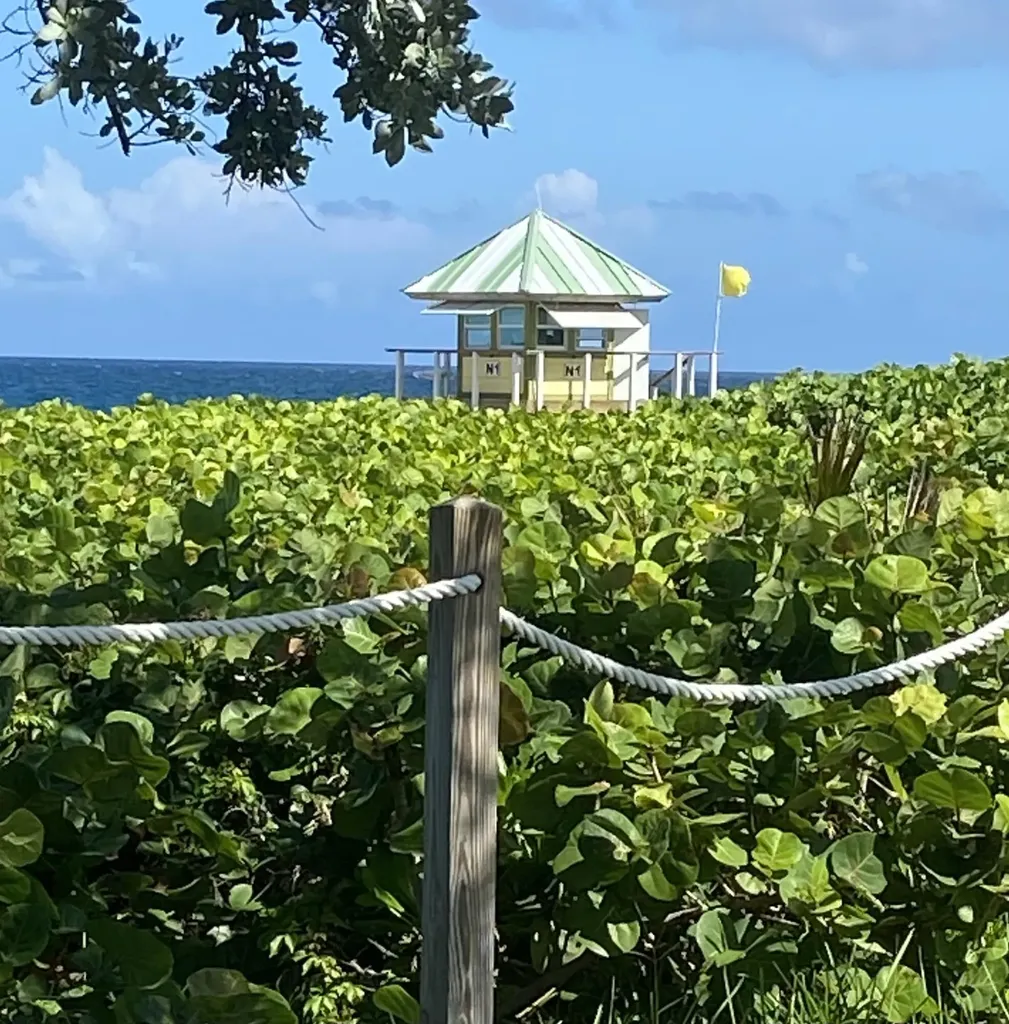 250 NE 3rd Avenue Delray Beach FL 33444