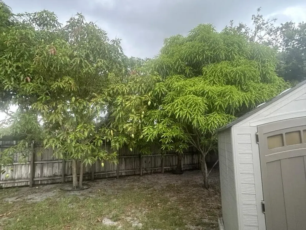 8362 NW 23rd Manor Coral Springs FL 33065