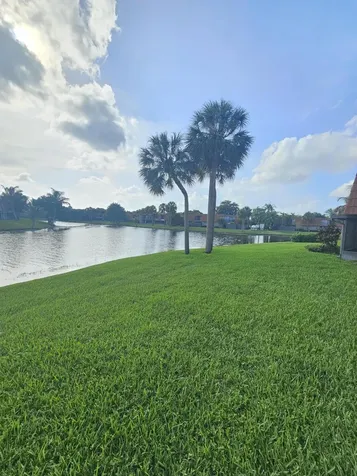 1412 SW 110th Way Davie FL 33324