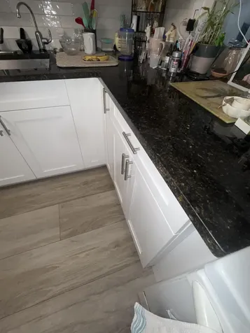 212 Lake Susan Lane West Palm Beach FL 33411