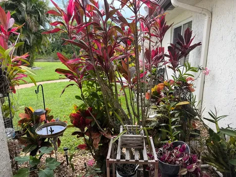 212 Lake Susan Lane West Palm Beach FL 33411