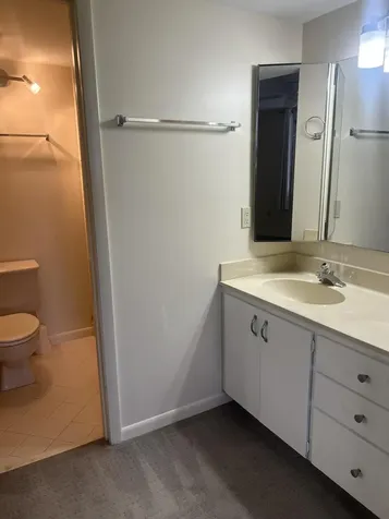 3636 Whitehall Drive West Palm Beach FL 33401