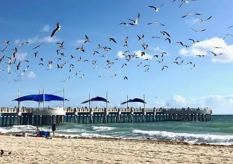 133 N Pompano Beach Boulevard Pompano Beach FL 33062