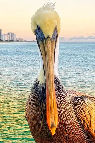 133 N Pompano Beach Boulevard Pompano Beach FL 33062