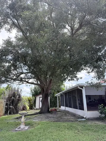 1036 18th Street SW Vero Beach FL 32962