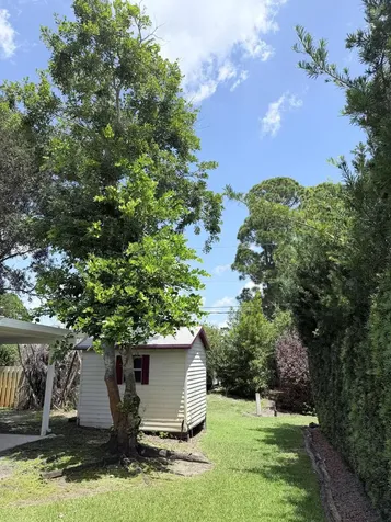 1036 18th Street SW Vero Beach FL 32962