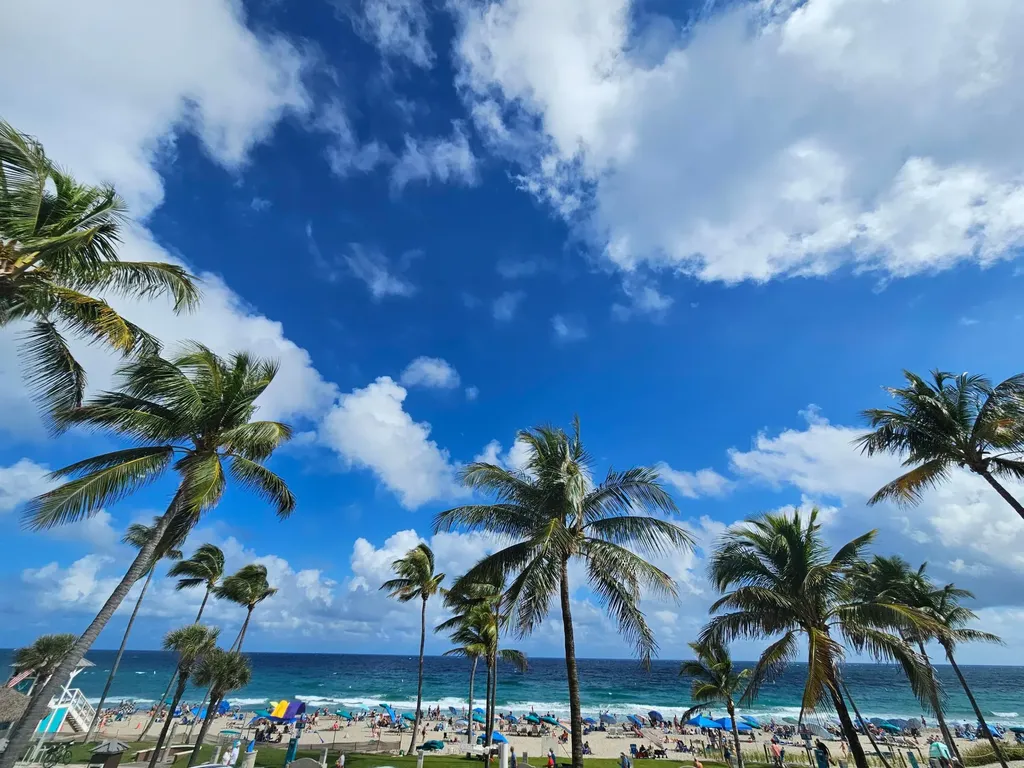 233 SE 21st Avenue Deerfield Beach FL 33441