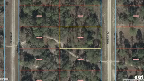 0 SE 136 Avenue Morriston FL 32668