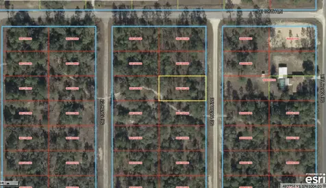 0 SE 136 Avenue Morriston FL 32668