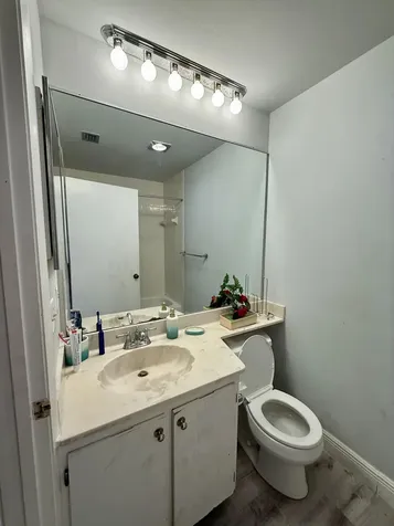 3927 Vine Tree Trail Lake Worth FL 33467