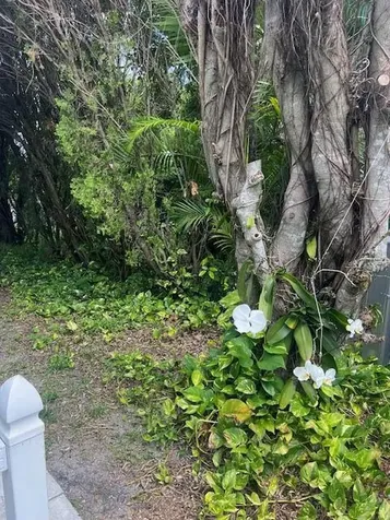 3503 NW 64th Court Coconut Creek FL 33073