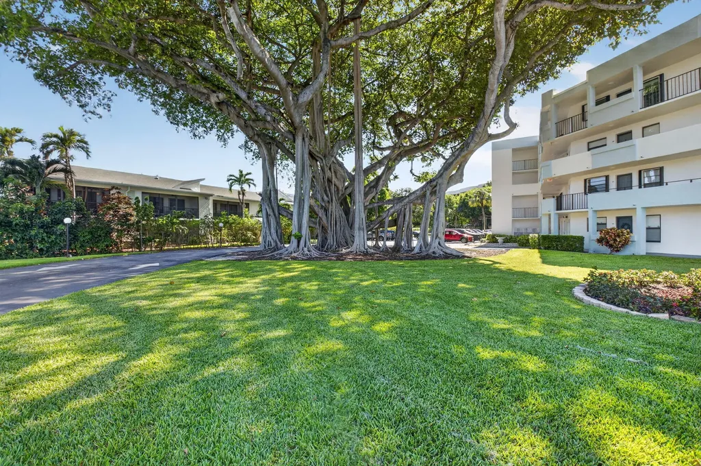 555 Banyan Tree Lane Delray Beach FL 33483