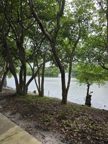 2866 S Oasis Drive Boynton Beach FL 33426