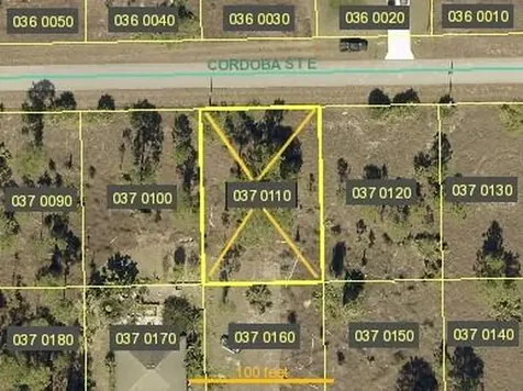 1246 Cordoba Street E Lehigh Acres FL 33974