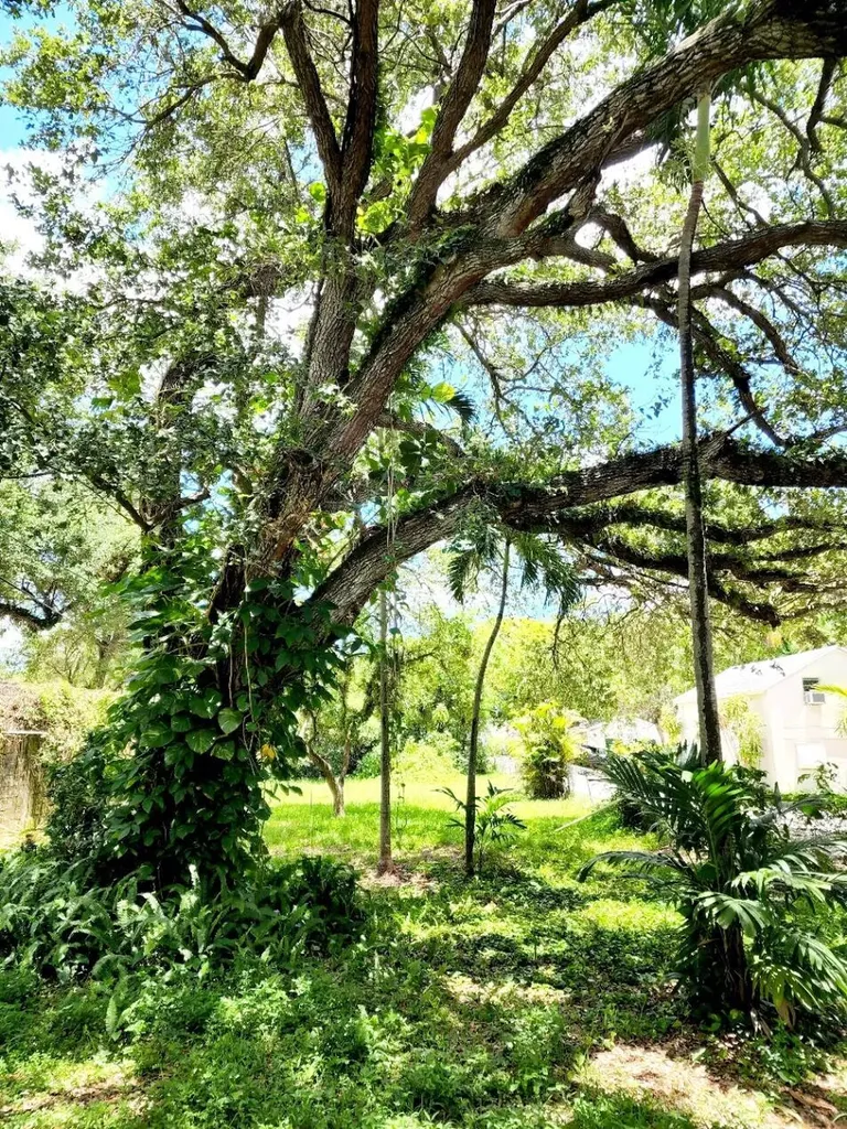 4124 N 32nd Court Hollywood FL 33021