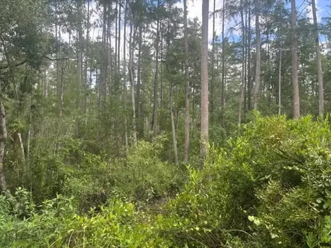 0 Water Road Clermont FL 33868