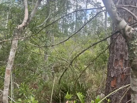 0 Water Road Clermont FL 33868