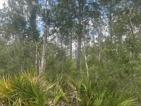0 Water Road Clermont FL 33868