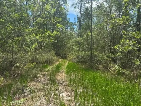 0 Water Road Clermont FL 33868