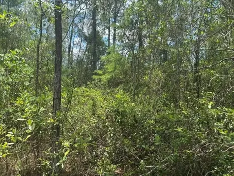 0 Water Road Clermont FL 33868