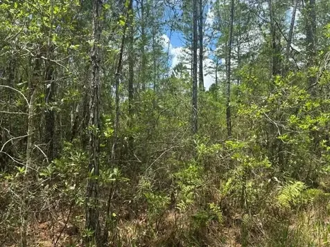 0 Water Road Clermont FL 33868
