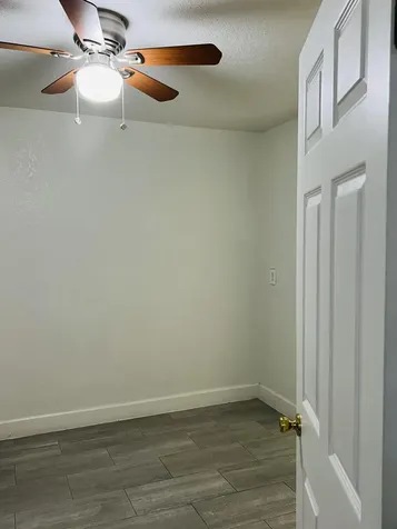 8719 N Ashley Street Tampa FL 33604