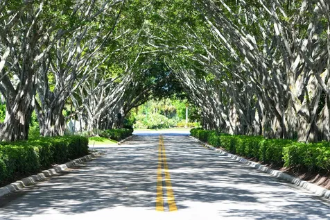 8197 Cypress Point Road West Palm Beach FL 33412