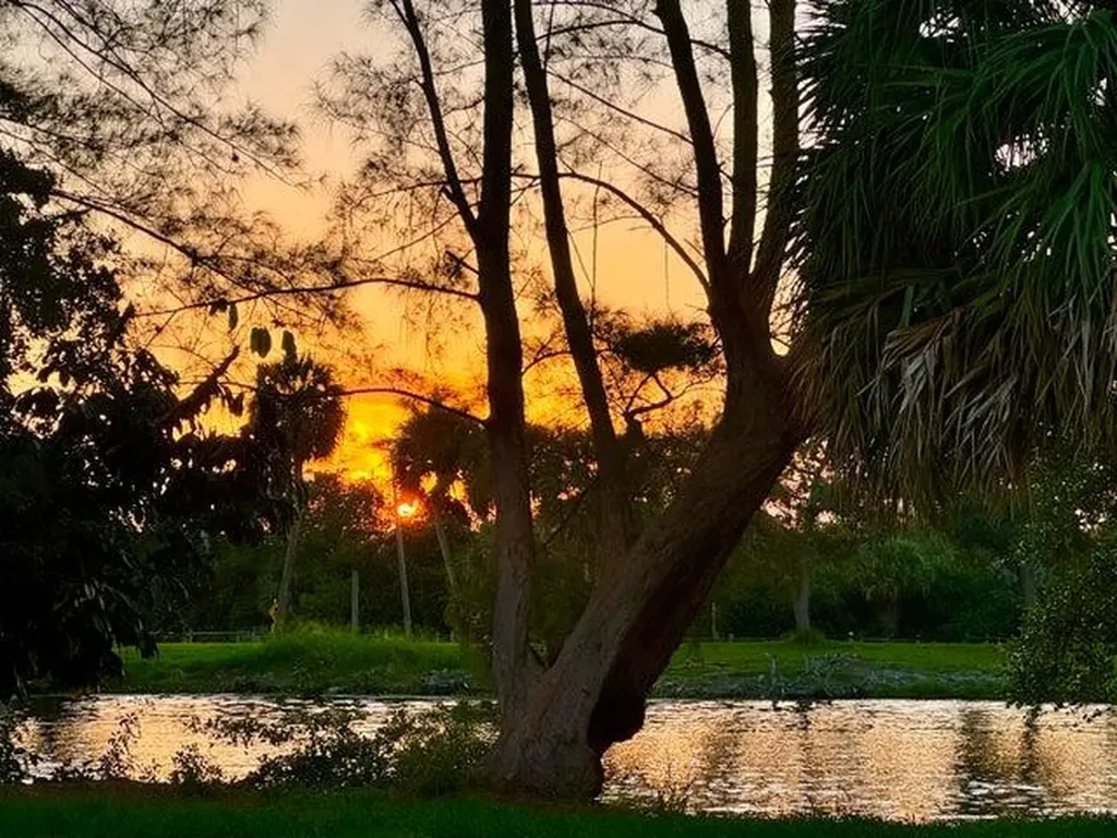2920 Cynthia Lane Lake Worth Beach FL 33461