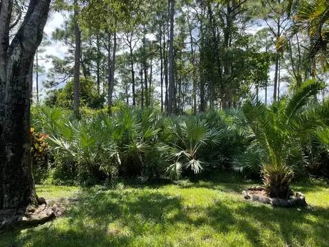 7916 SE Sugar Pines Way Hobe Sound FL 33455