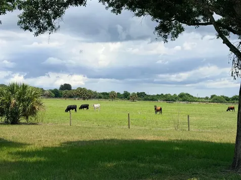 1206 SE 10th Street Okeechobee FL 34974