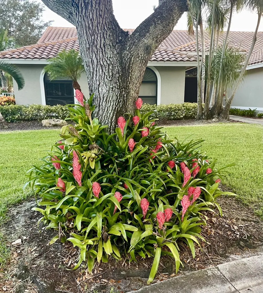 4704 NW 99th Lane Coral Springs FL 33076