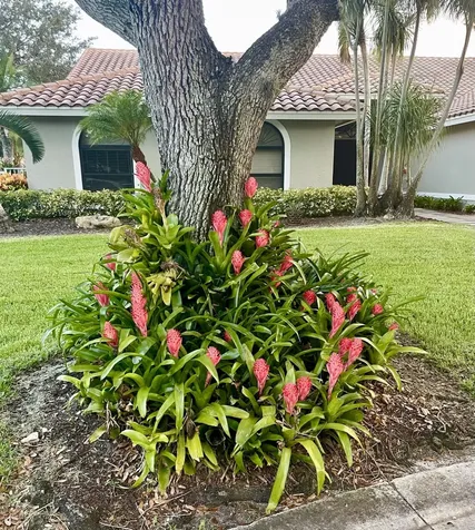 4704 NW 99th Lane Coral Springs FL 33076