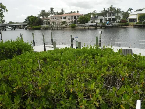 18560 SE Wood Haven Lane Jupiter FL 33469