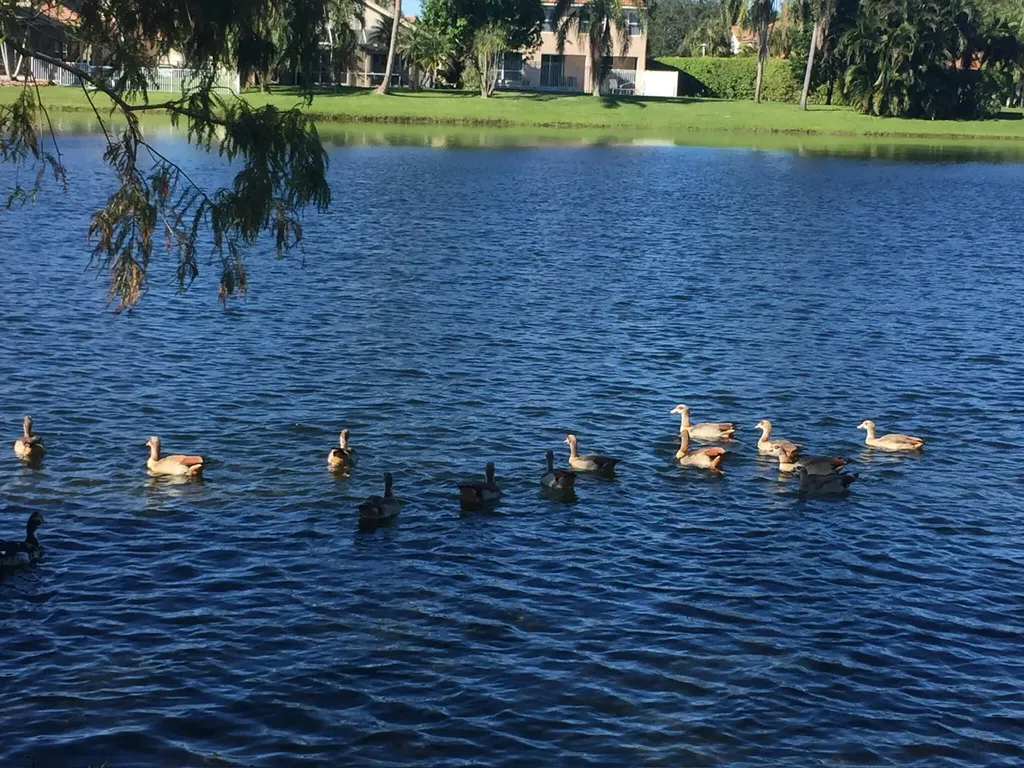 7418 Wescott Terrace Lake Worth FL 33467