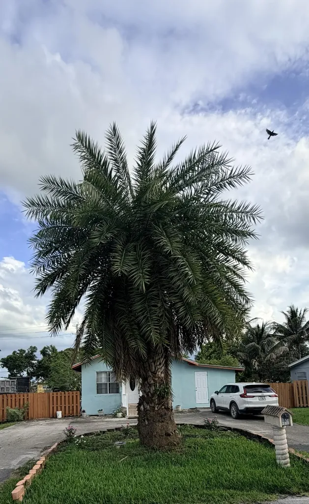 208 NW Avenue H Place Belle Glade FL 33430