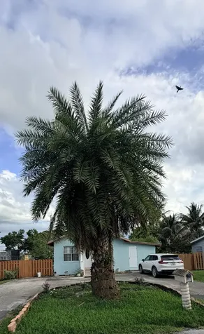 208 NW Avenue H Place Belle Glade FL 33430