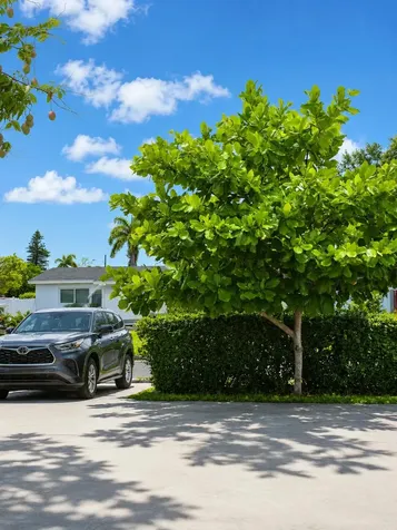 101 SW 64th Avenue Pembroke Pines FL 33023
